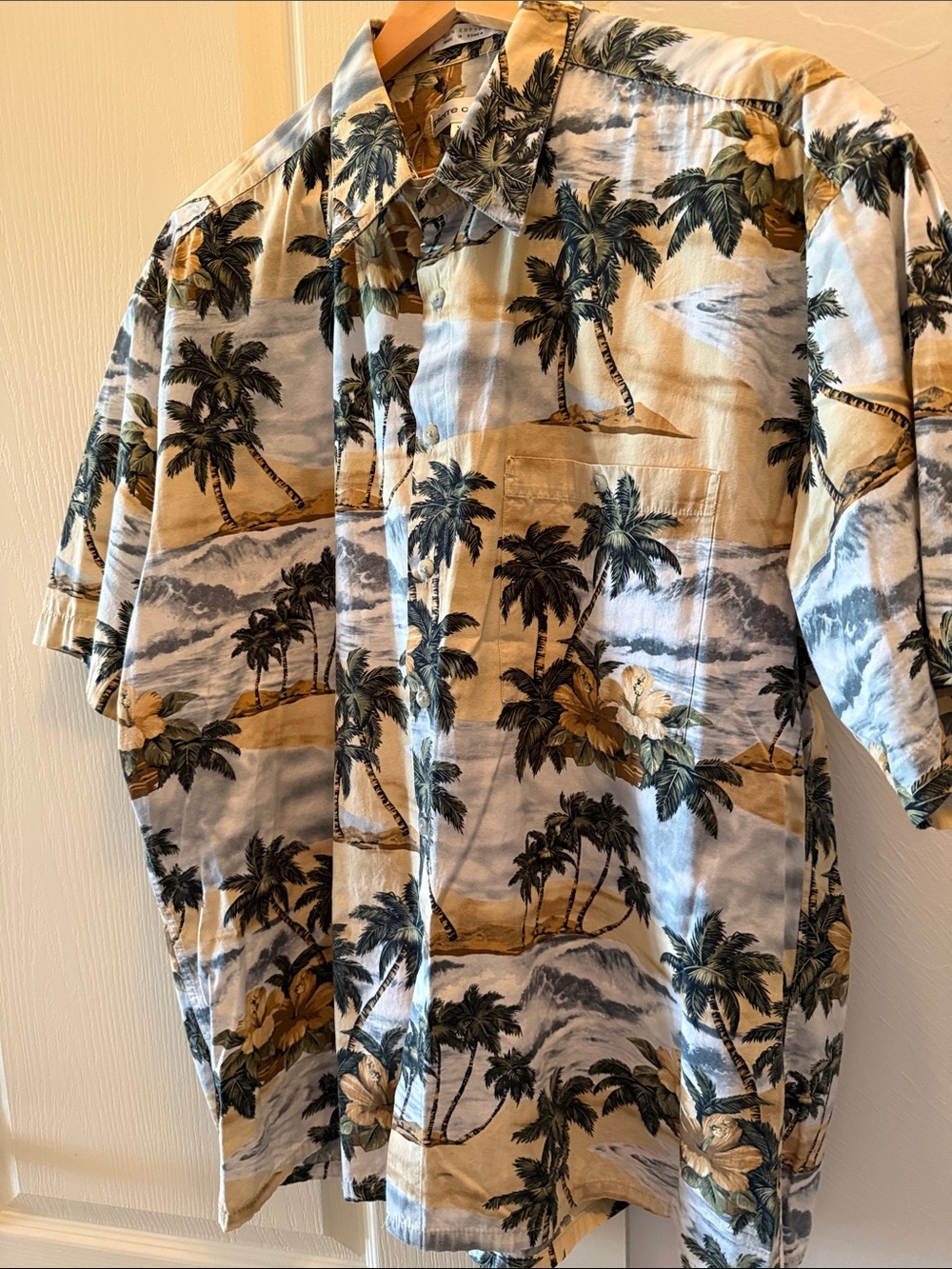 Pierre Cardin Men's Tropical Button-Down Shirt - Blue & Tan